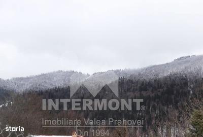 Spațiu comercial, în Sud - 5