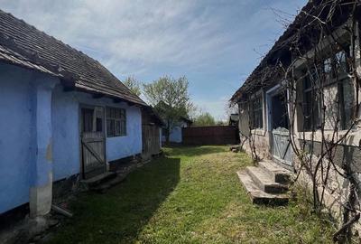 Casă cu Teren 2191 Mp în Cheșa - 3