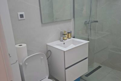 Apartament cu 2 camere semidecomandat în Tunari - 9