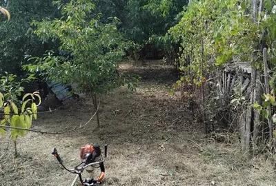 Casa caramida si Teren 1770mp Vanju Mare la DN56A - 4