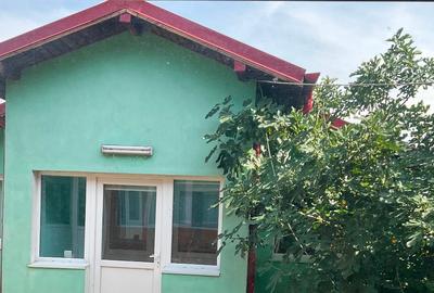 Vila individuala,casuta auxiliara si curte mare - 3