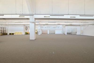 0% comision! Inchiriere birouri Domenii, 663 - 1643 mp - 7