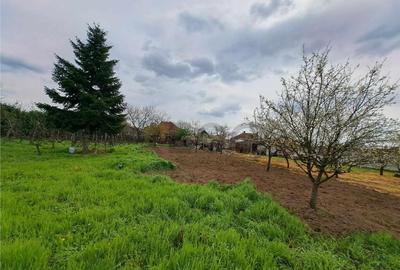 RECO Casa dubla teren generos RECO Casa dubla teren generos - 15