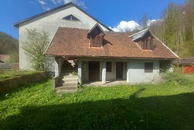 Casă cu 4 camere în Moneasa - 4