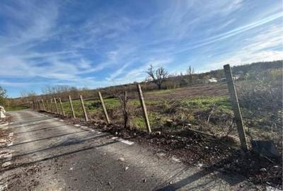 Spațiu comercial, în Cosâmbești - 5