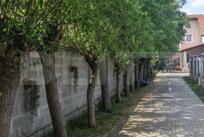 Casa individuala 5 camere, 161 mp utili, 725 mp teren, Dumbravita Casa individuala 5 camere, 161 mp utili, 725 mp teren, Dumbravita - 3