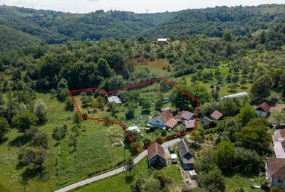 Casa / Vila cu 10 camere amplasate in 2 corpuri de cladire de vanzare - 9