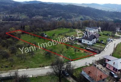 Teren în Borovinești - 11