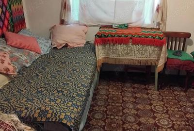 Casă cu Teren 3000 Mp în Central - 1