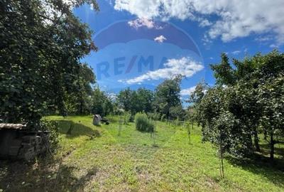 Casă  str. Progresului , Sebes, destinatie : uni/multifamiliala - 11