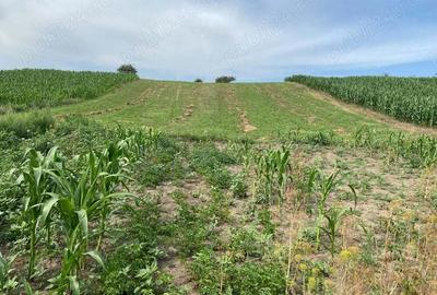 Casă cu 2 camere în Boian - 4