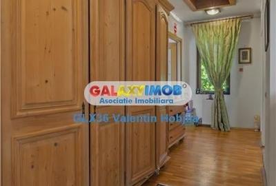 Vanzare vila Lacul TEI  PETRICANI INSULA  LAC 1900 MP TEREN - 23