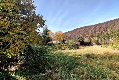 Teren Intravilan Bunloc - 8