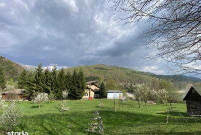 Teren de 1780 mp, în Valea Doftanei - 6