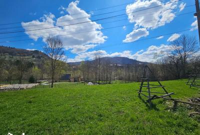 Teren de 2000 mp, în Valea Doftanei