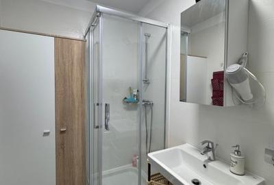 Kasper - Coresi Avantgarden, apart cu doua camere - open space, prima inchiriere - 11