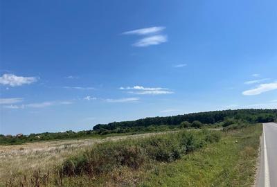 RECO Teren intravilan 3,9 ha -Les - 2