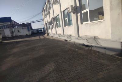 Casă cu 4 camere în Aradul Nou - 8
