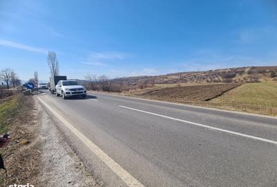 Spațiu comercial, în Șesuri - 3