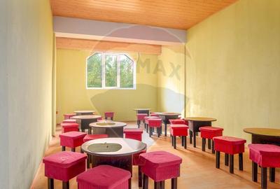 Proprietate specială, de 2,070 mp, în Domnești - 16