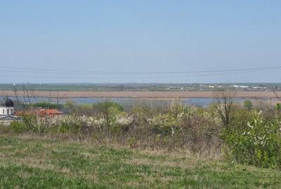 Teren Construcții intravilan de 4300 mp, în Comana - 1