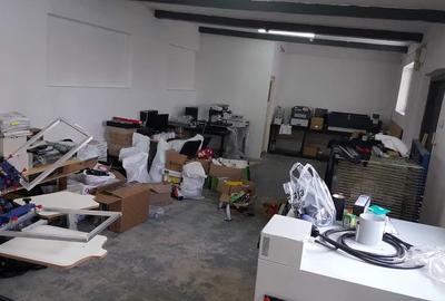 Spatiu Comercial 120 mp Timis Triaj - 3