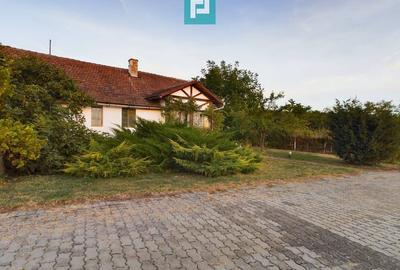 Casă individuală cu 6 camere cu Canalizare în Miniș - 37