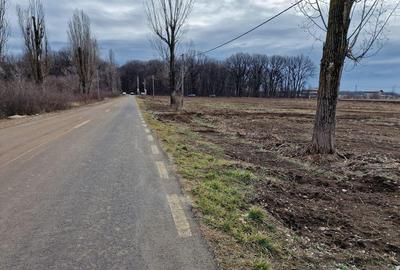 Ciolpani adiacent DN1 teren 12800 mp parcelabil toate uti... - 4