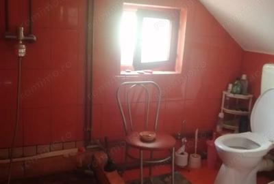 Casă cu 5 camere cu Teren 1263 Mp în Eremitu - 4