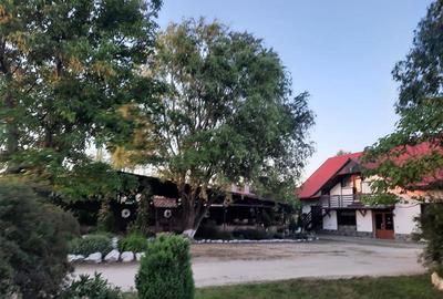 Spațiu comercial, de 380 mp, în Hălchiu - 28