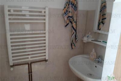 Vila cocheta de vanzare in Valcea, Bogdanesti (Tomsani) Vila cocheta de vanzare in Valcea, Bogdanesti (Tomsani) - 11