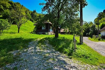 FILM! Proprietate autentica, Bran-Simon, 4.300 mp teren, casa traditionala + ane - 7
