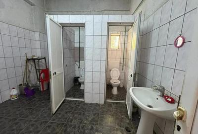 Inchiriere complex industrial multifunc?ional pozi?ie strategica, Targu Jiu - 8