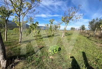 Teren extravilan  3.942 mp de vanzare - Talmaciu, jud. Sibiu - 3