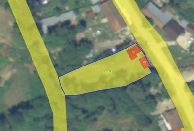 Casa si teren- Loc. Dognecea, jud. Caras-Severin - 5