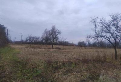 Caransebes, Teren Intravilan cu Utilitati 20 Euro Mp - 2