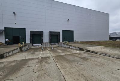 Hala industriala depozitare productie Giarmata - 1850 mp !! - 7