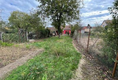 Casa singur in curte cu teren 774mp,zona Turnisor - D.D.Rosca - 16