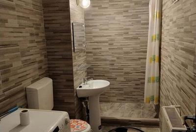 Vand apartament Ostroveni Vand apartament Ostroveni - 5