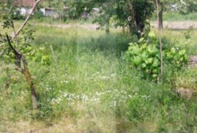 Blitz va ofera spre vanzare casa cu teren generos in Covas? - 7