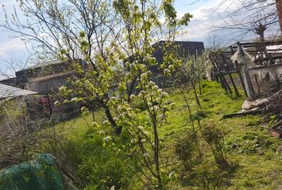 Casă cu 4 camere în Colibași - 6