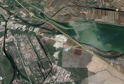 Teren de 60000 mp, în Bradu - 13