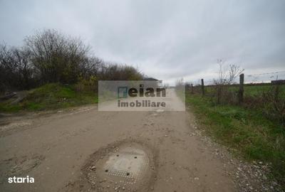 Teren de 3000 mp, în Mogoșoaia