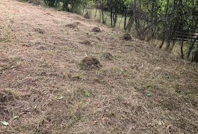 Teren în Geoagiu-Băi - 4