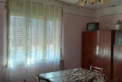 Casa la Tara Capalna, Bihor - 7