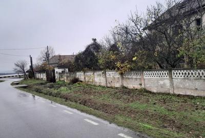 Spațiu comercial, în Ostrovu Corbului - 4