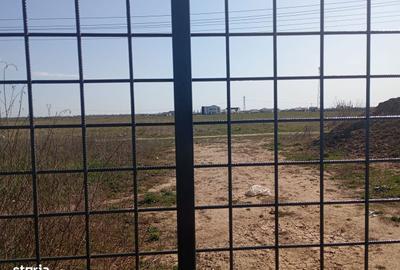 Spațiu comercial, de 495 mp, în Moșnița Nouă - 6