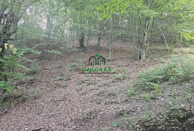 Teren extravilan cu potential turistic - Brezoi - 3