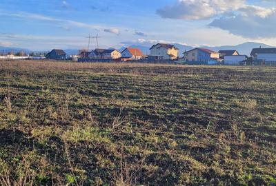 Vindem 36 de parcele cu P.U.Z in Halchiu - 3