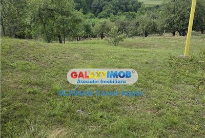 Vindem terenuri intravilane in Campulung - Arges 3400 si 180 - 4